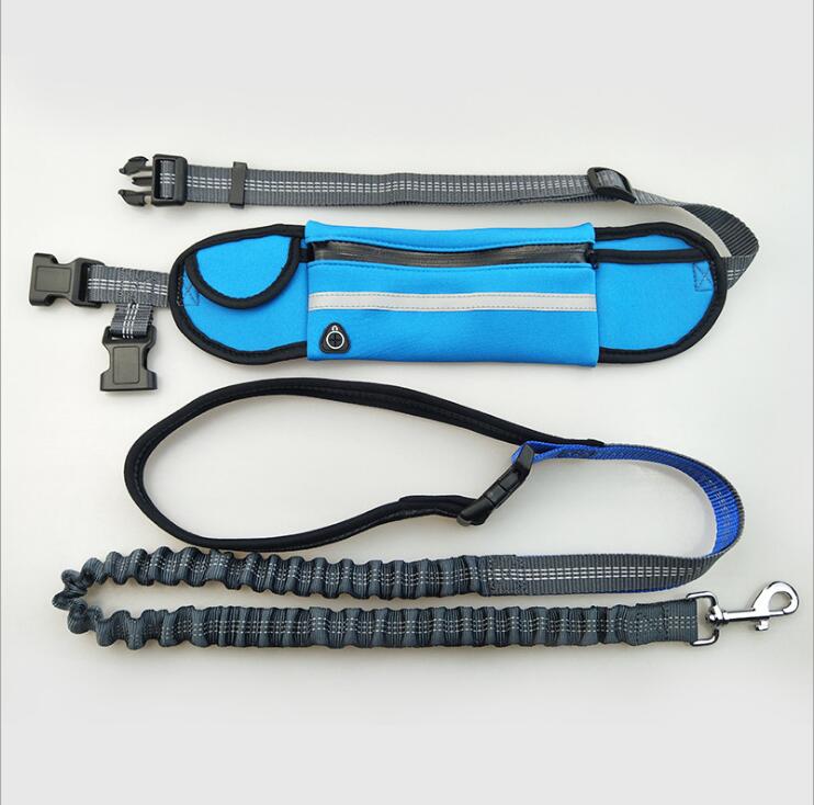 Hands-Free Dog Running Leash for Fun, Easy Outdoor Adventures