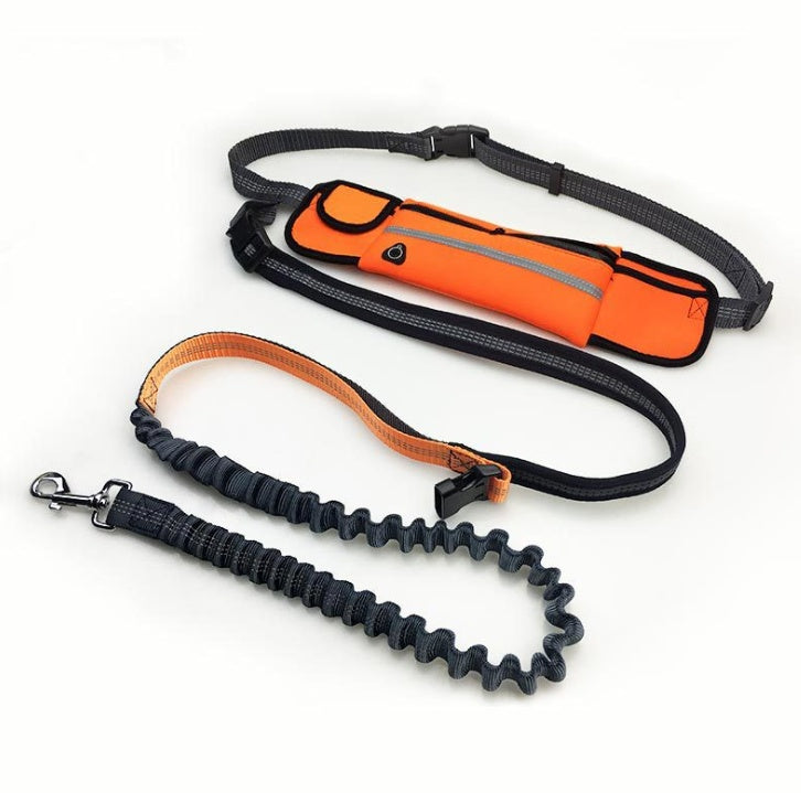 Hands-Free Dog Running Leash for Fun, Easy Outdoor Adventures