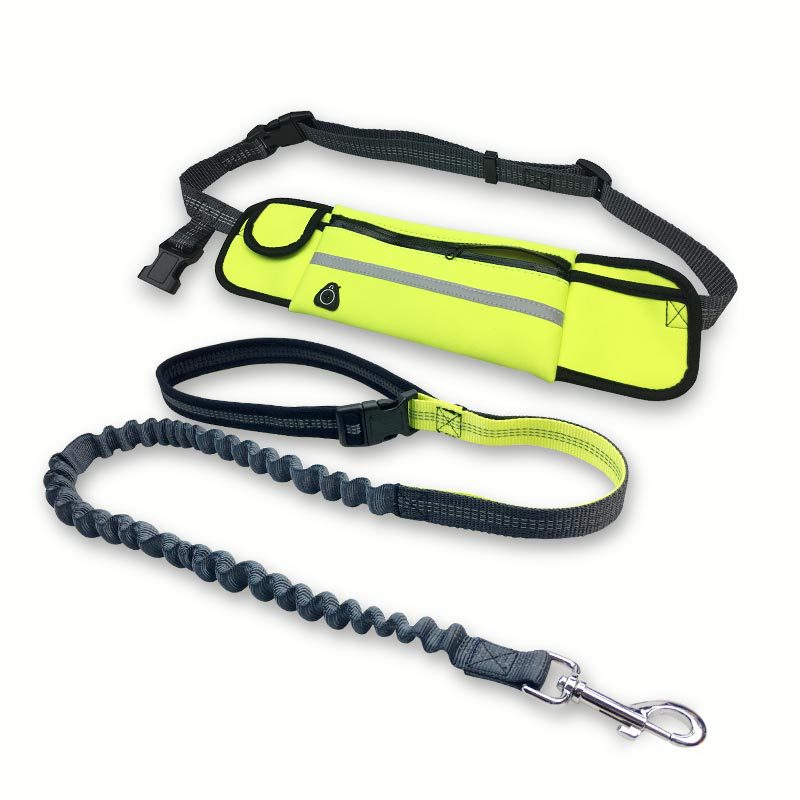 Hands-Free Dog Running Leash for Fun, Easy Outdoor Adventures