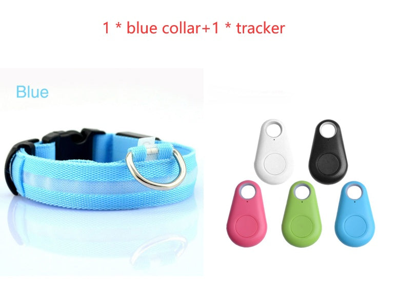 Bright LED Safety Collar for Happy, Visible Nighttime Walks