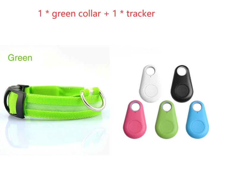 Bright LED Safety Collar for Happy, Visible Nighttime Walks