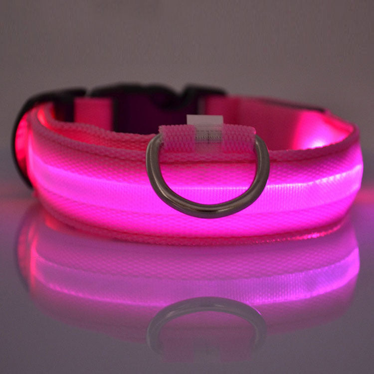 Bright LED Safety Collar for Happy, Visible Nighttime Walks