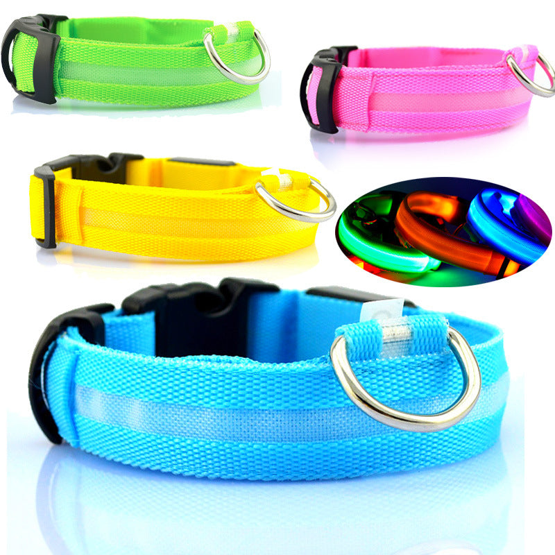Bright LED Safety Collar for Happy, Visible Nighttime Walks