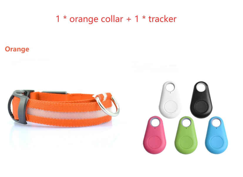 Bright LED Safety Collar for Happy, Visible Nighttime Walks