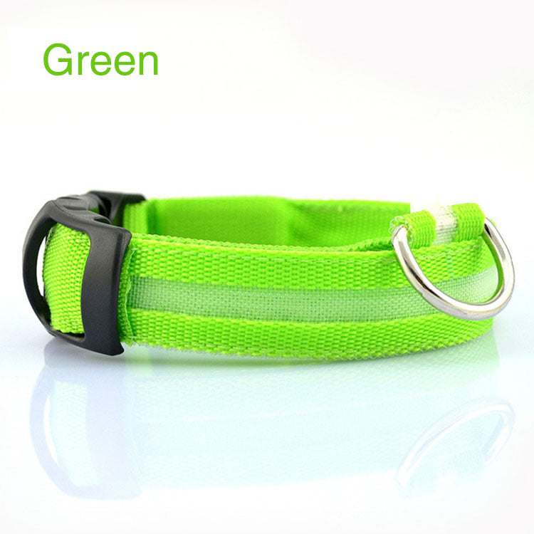 Bright LED Safety Collar for Happy, Visible Nighttime Walks