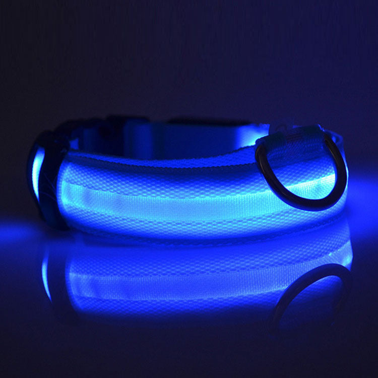 Bright LED Safety Collar for Happy, Visible Nighttime Walks