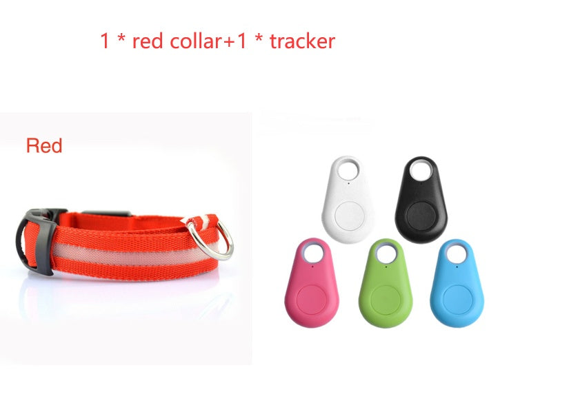 Bright LED Safety Collar for Happy, Visible Nighttime Walks