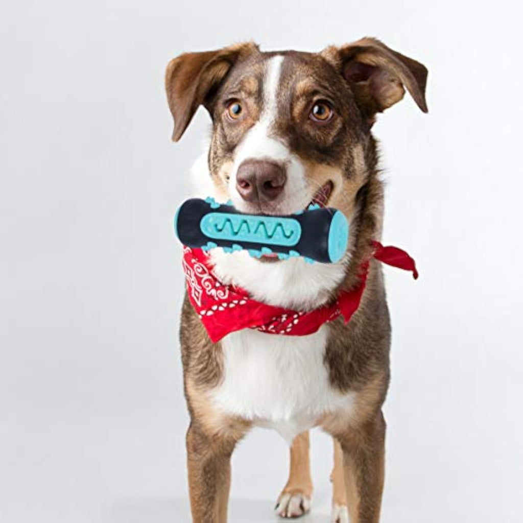 Fun Chew Toothbrush Toy for Happy, Healthy Dog Teeth