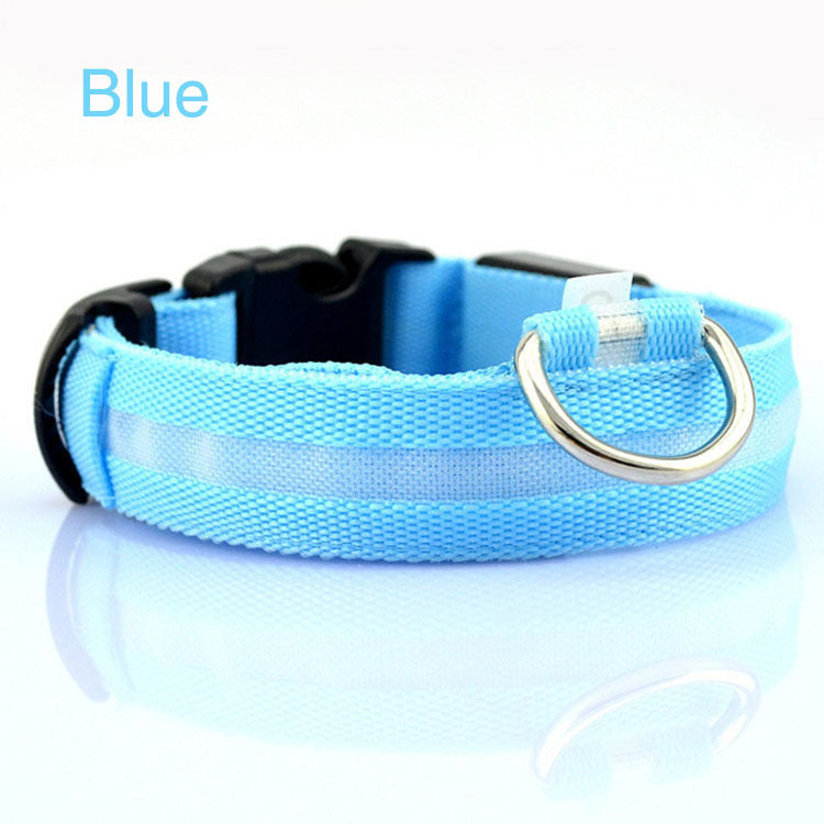 Bright LED Safety Collar for Happy, Visible Nighttime Walks