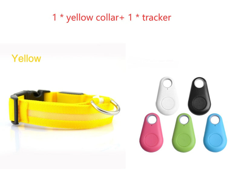 Bright LED Safety Collar for Happy, Visible Nighttime Walks