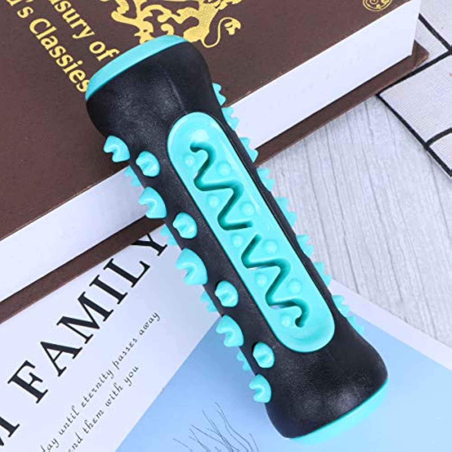 Fun Chew Toothbrush Toy for Happy, Healthy Dog Teeth