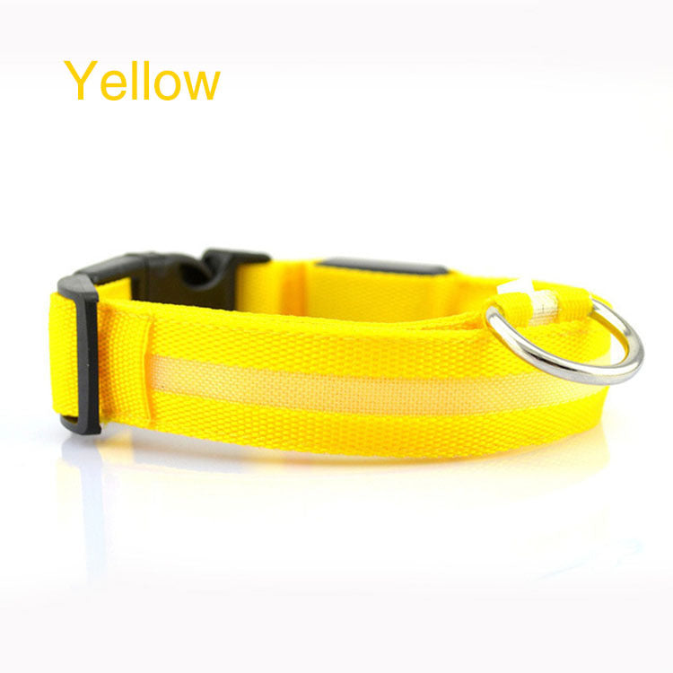 Bright LED Safety Collar for Happy, Visible Nighttime Walks