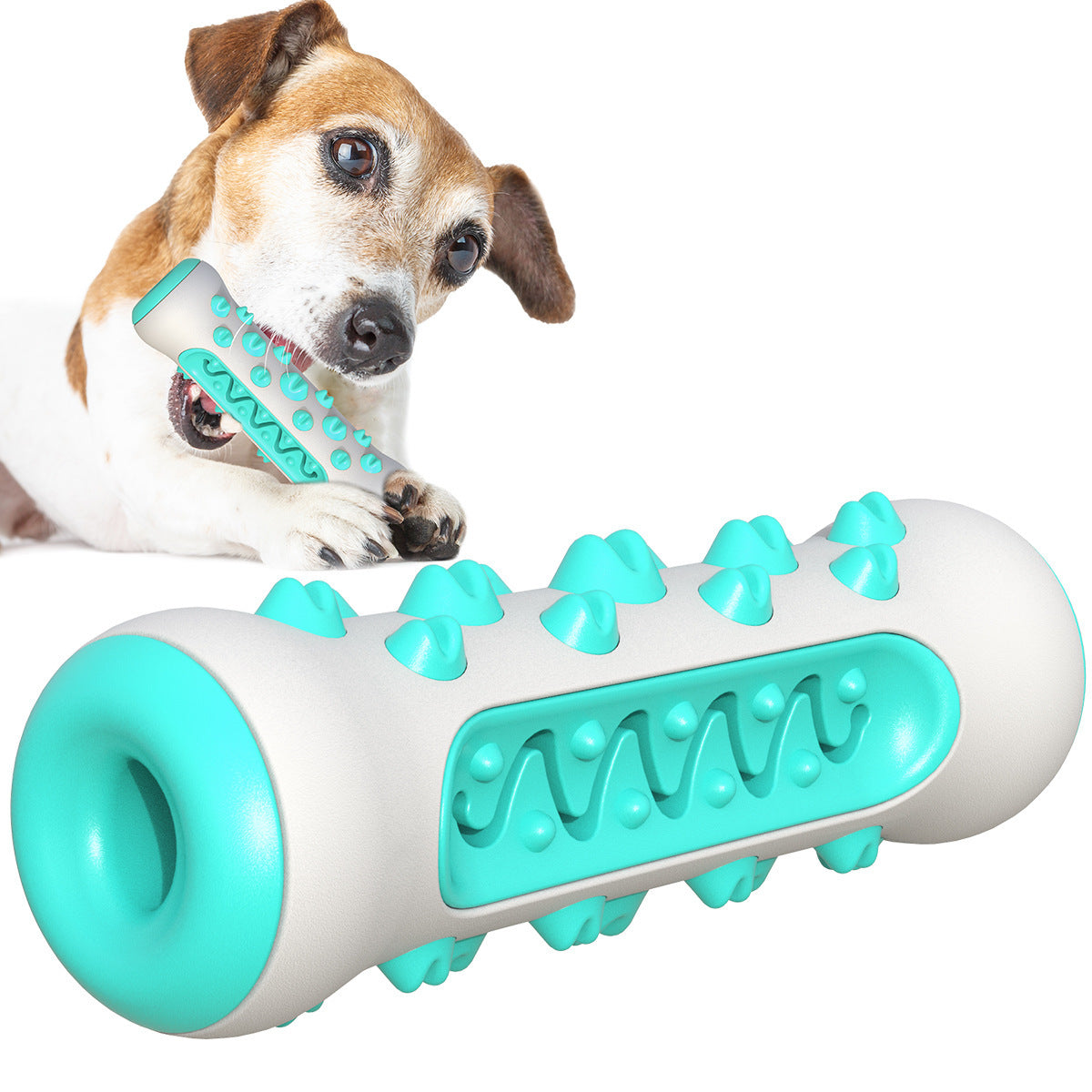 Fun Chew Toothbrush Toy for Happy, Healthy Dog Teeth