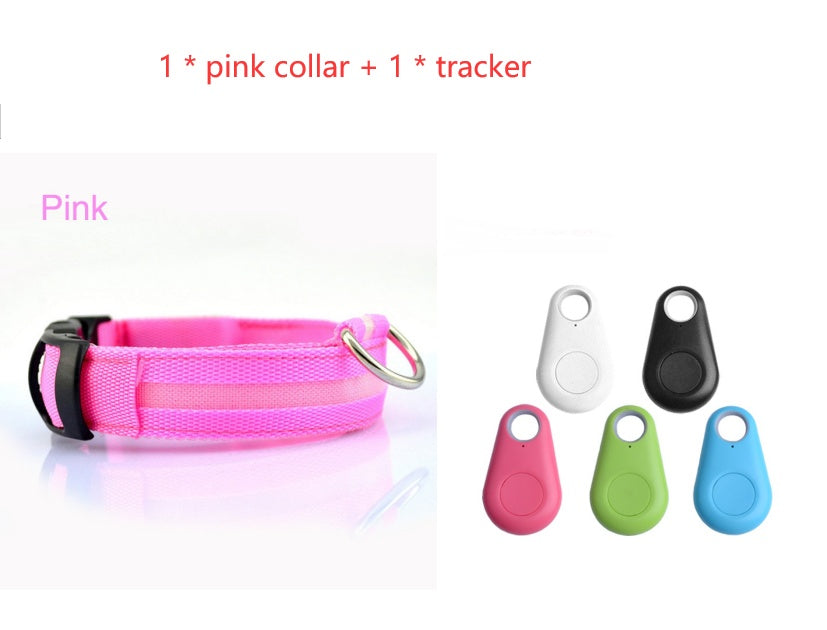 Bright LED Safety Collar for Happy, Visible Nighttime Walks