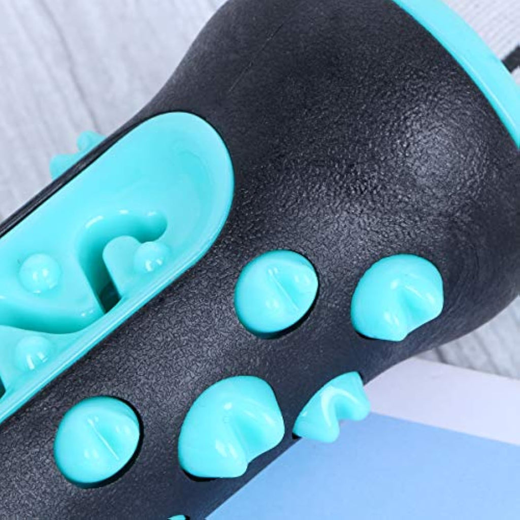 Fun Chew Toothbrush Toy for Happy, Healthy Dog Teeth