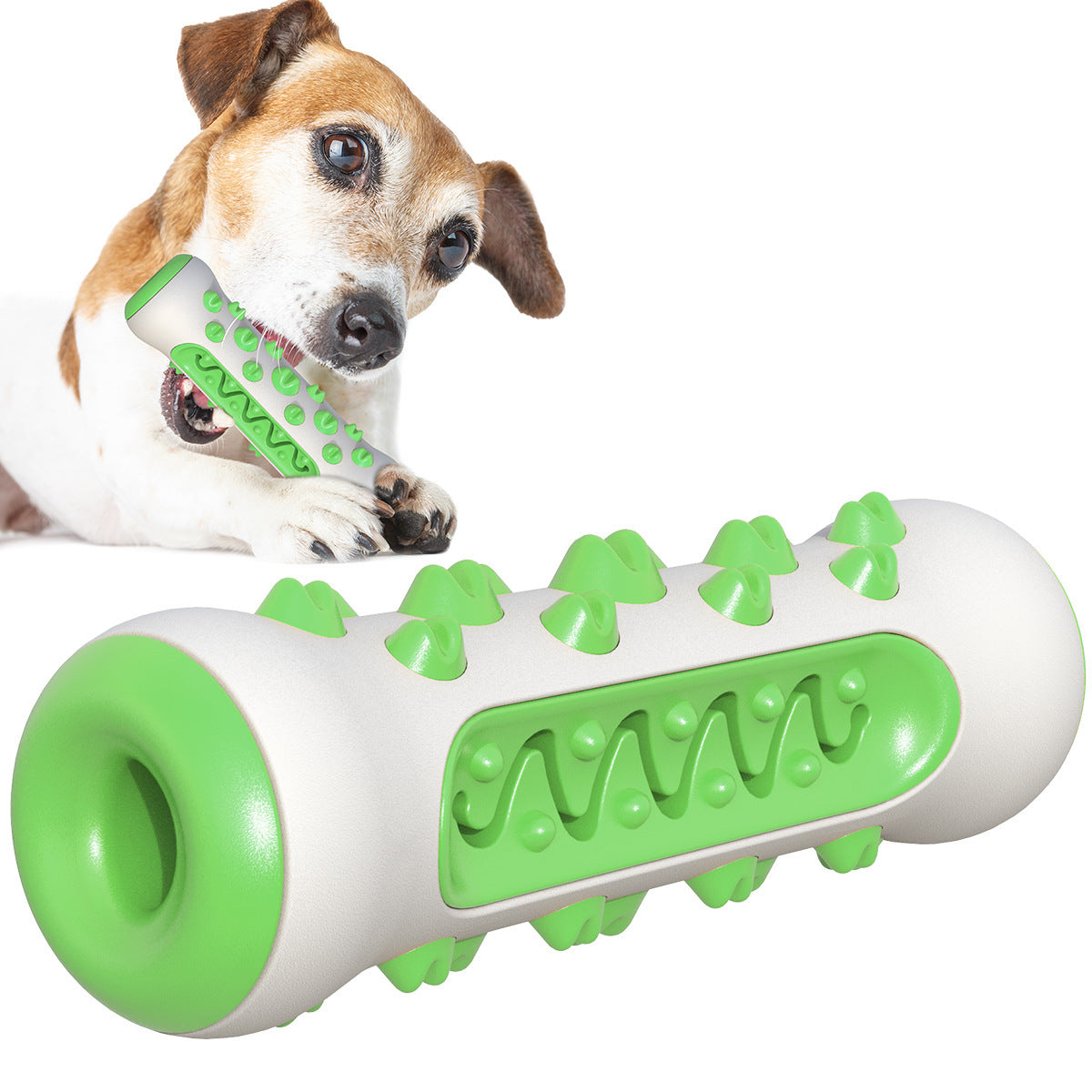 Fun Chew Toothbrush Toy for Happy, Healthy Dog Teeth