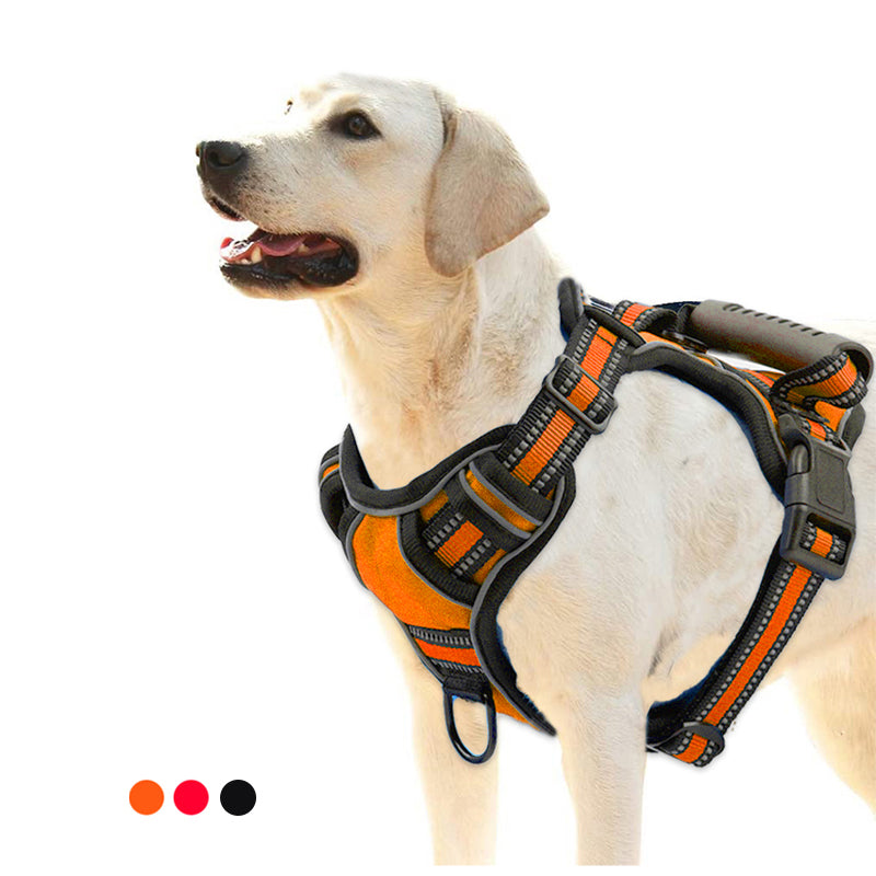 No-Pull Reflective Dog Harness for Safe, Comfy Walks