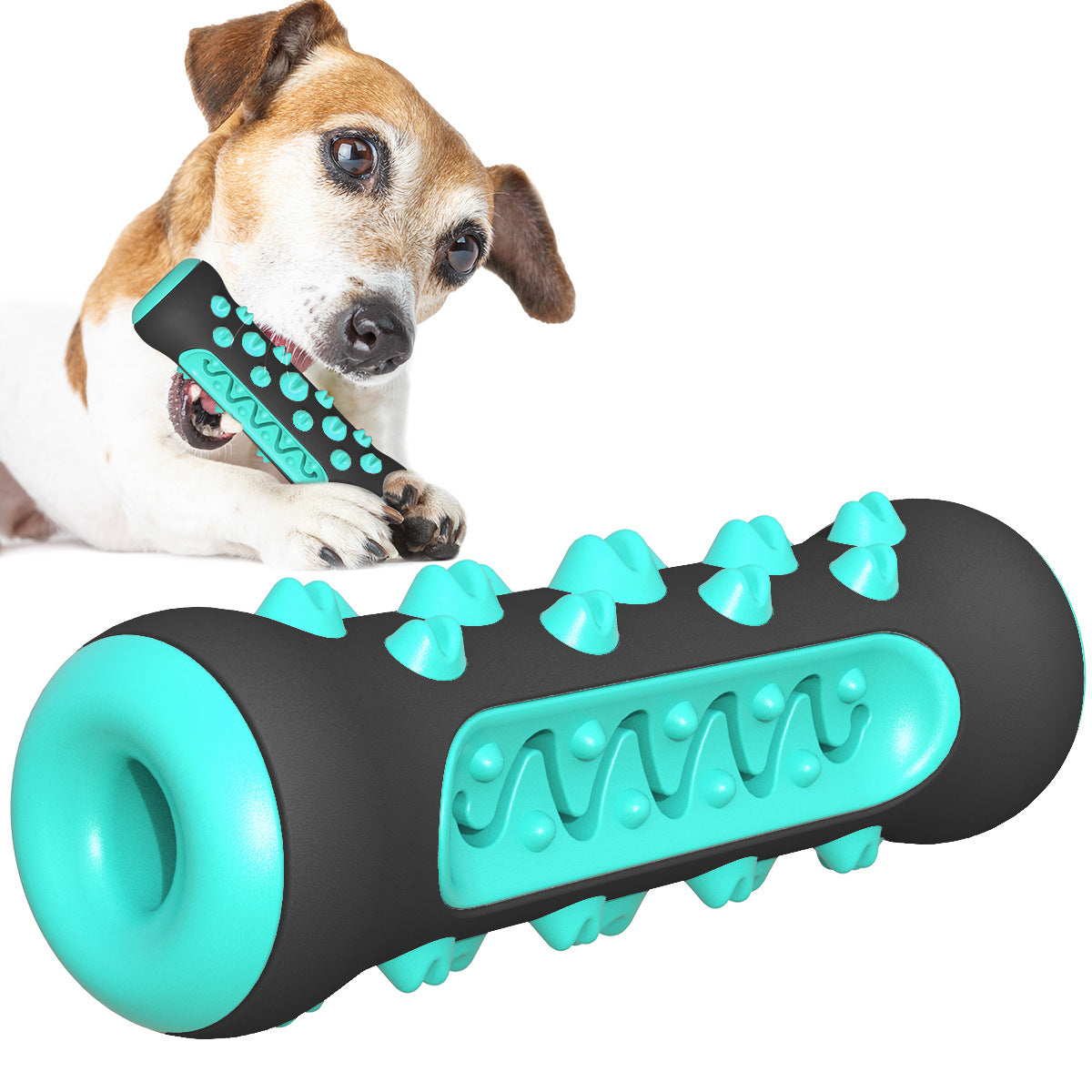 Fun Chew Toothbrush Toy for Happy, Healthy Dog Teeth